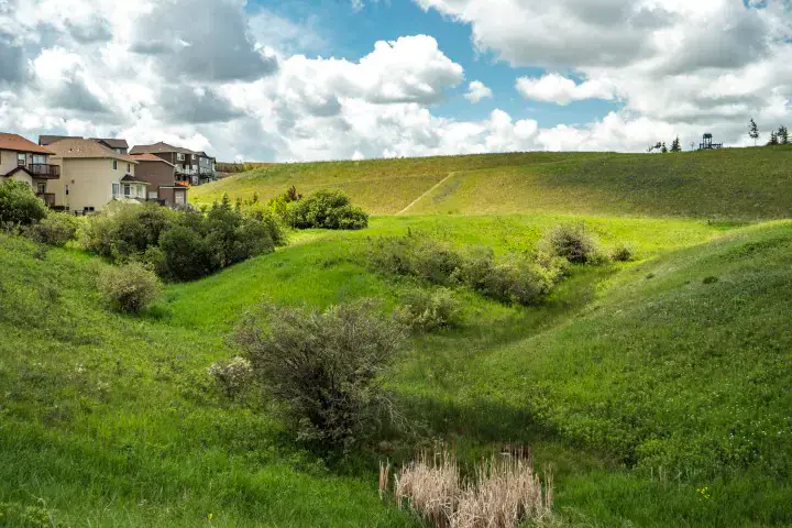 Sherwood property and community context